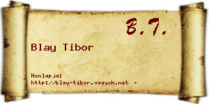 Blay Tibor névjegykártya